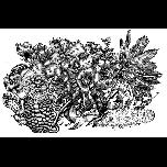 Drawings from 1970-79