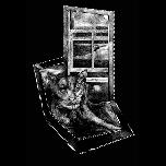 Cat in the moonlight - 1971 - Pen and ink - 59cm x 42cm 