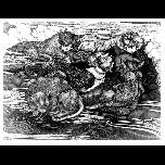 Study for Sleepers - 1972 - Pen and ink - 50cm x 55cm 