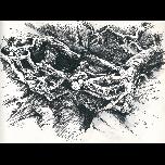 Sketchbook -gnarled oak roots - 1997 - Pen and ink - 20cm x 25cm 