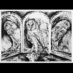 Study for -From Dusk Till Dawn - 2001 - Pencil on paper - 51cm x 71cm 