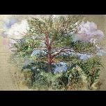 Large Pines -Hisaronu, Fethiye - 1995 - Watercolour on paper - 23cm x 30cm 