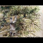 Overgrown garden -Karaincir - 1994 - Watercolour and pen and ink on paper - 23cm x 30cm 