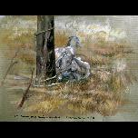 Tethered Goats -Hisaronu, Fethiye - 1995 - Watercolour on paper - 23cm x 30cm 