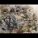 The Old Garden Pool -Karaincir - 1994 - Watercolour and pen and ink on paper - 23cm x 30cm 