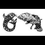 Bird-fish Fish-bird - 1971 - Pen and ink - 30cm x 40cm 