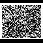 Butterflies -2nd version - 1971 - Pen and ink - 26cm x 30cm 