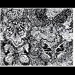 Butterflies  - 1971 - Pen and ink - 26cm x 30cm 