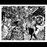 Shells - Freefall - 1971 - Pen and ink - 25cm x 30cm 