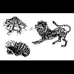 Shells and Lion-snaketail - 1971 - Pen and ink - 30cm x 40cm 