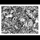 Shiny Flowerheads - 1971 - Pen and ink - 25cm x 30cm 