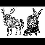 Weird Stag and Magical Ram - 1971 - Pen and ink - 30cm x 40cm 