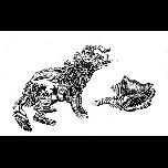 Wild Dog and Shellbone - 1971 - Pen and ink - 30cm x 40cm 