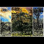 Strange Days Indeed - 2008 - Digital Image 