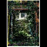 Through My Hedge - 2009 - Digital Image 